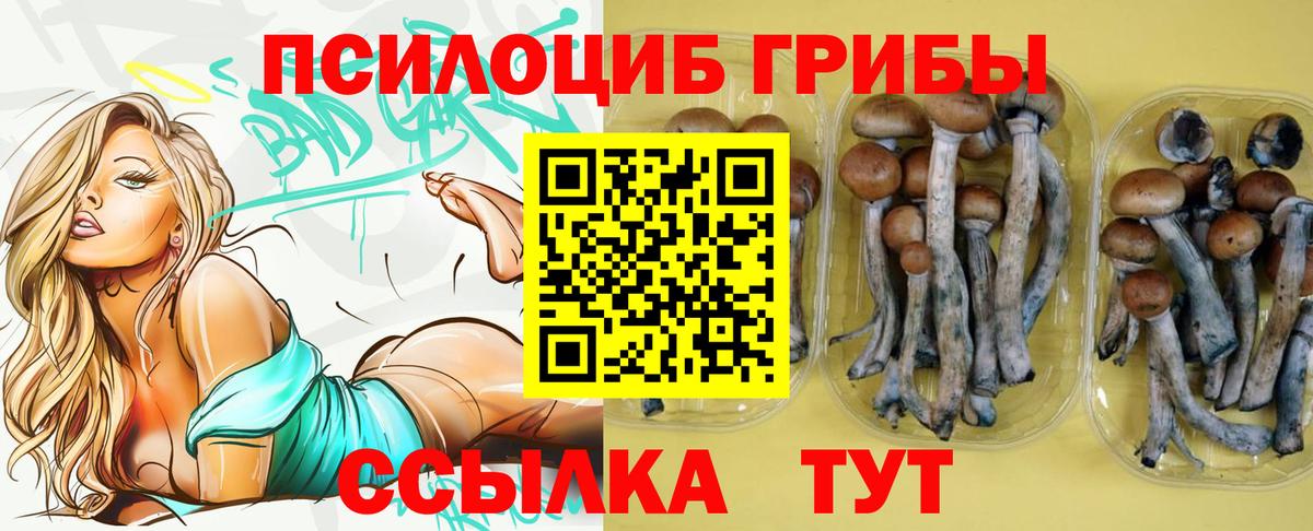 Псилоцибиновые грибы мицелий Егорьевск