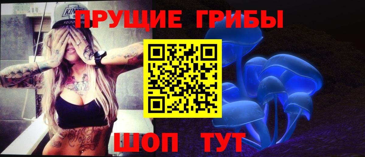 где продают   Вход с VPN  Егорьевск  Галлюциногенные грибы Psilocybe 